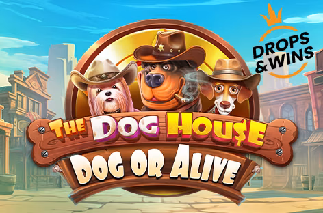 The Dog House – Dog or Alive
