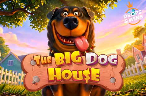 The Big Dog House